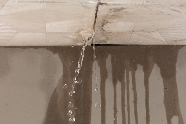 Professional Water Damage Inspection technician working in Chester, MD